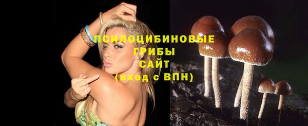метамфетамин Алексеевка