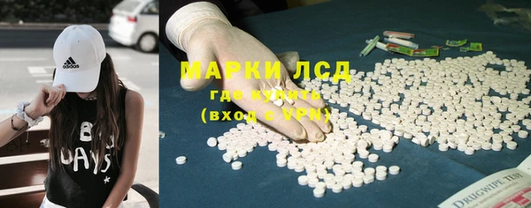 тгк Алзамай