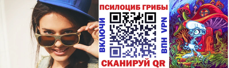 Псилоцибиновые грибы Psilocybe  Бирюч 