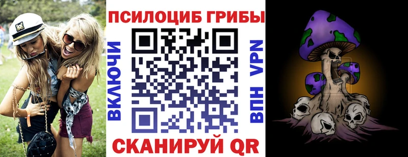 Псилоцибиновые грибы Psilocybine cubensis Бирюч